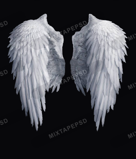 Angel Wings
