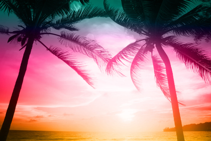 Tropical-Colorful-Wallpaper-Background-scaled