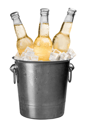 HD 3 Cold Beers Ice Bucket