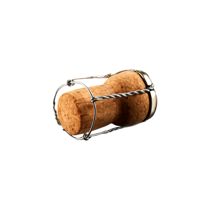 Champagne Cork 2