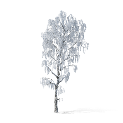 HD Winter Tree 4