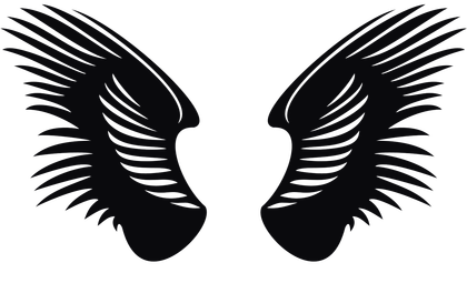 Vector Wing Logo 9