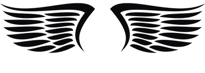 Vector Wing Logo 7