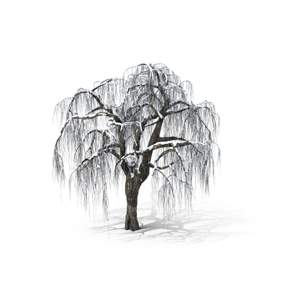 HD Winter Tree 2