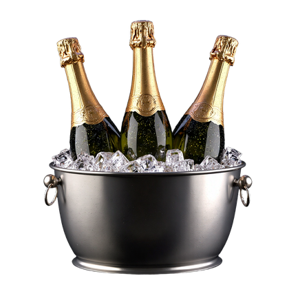 Silver Ice Bucket With Champagne Bottles 2
