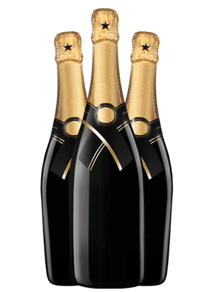 Free Champagne Bottles Template
