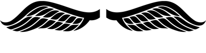 Vector Wing Logo13