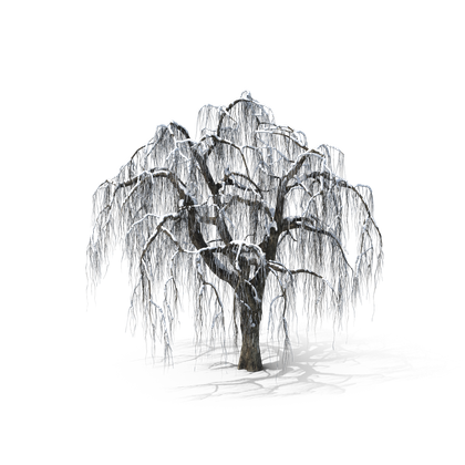 HD Winter Tree