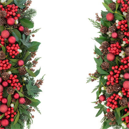Christmas Border Reefs