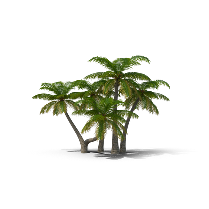 HD Palm Trees 2