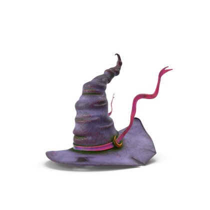 HD Halloween Witch Hat 2