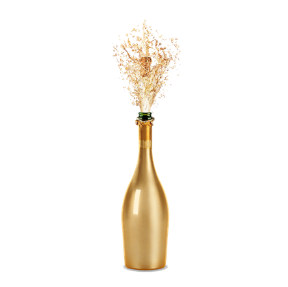 Champagne-bottle-transparent-5