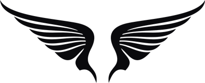 Vector Wing Logo