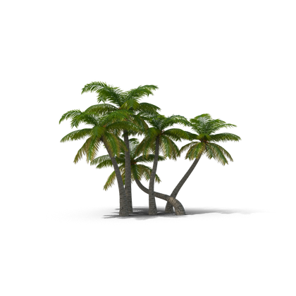 HD Palm Trees 3