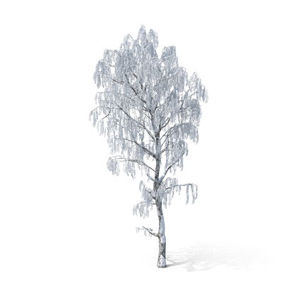 HD Winter Tree 3