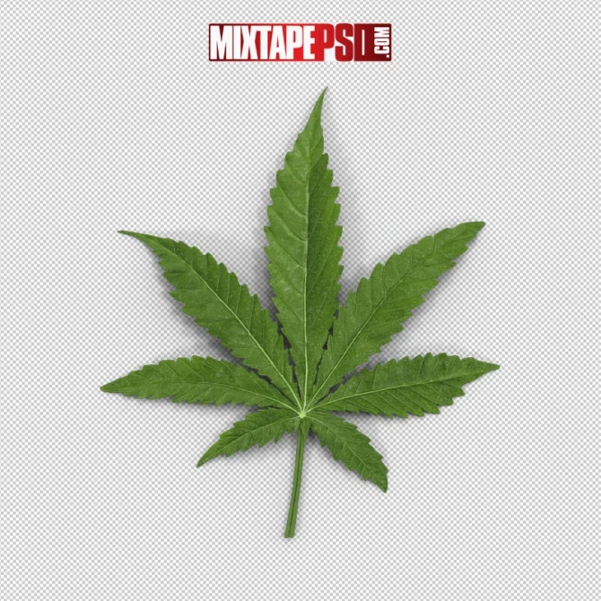 Green marijuana leaf with serrated edges – cannabis symbol for branding or educational use.